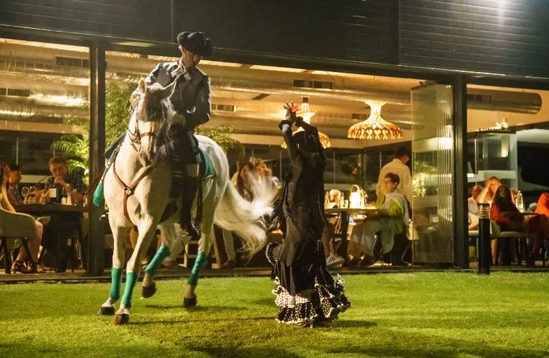 Fotos del hotel Ilunion Calas De Conil:  14