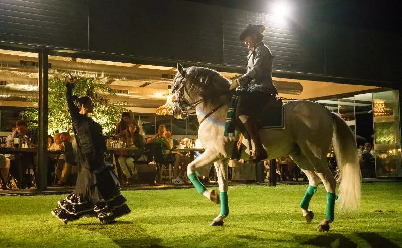 Fotos del hotel Ilunion Calas De Conil:  13