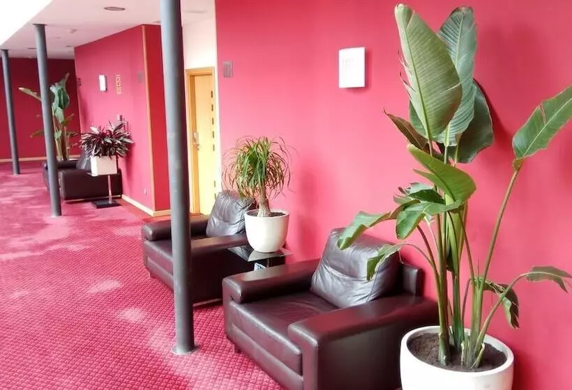 Fotos del hotel Peregrina:  3