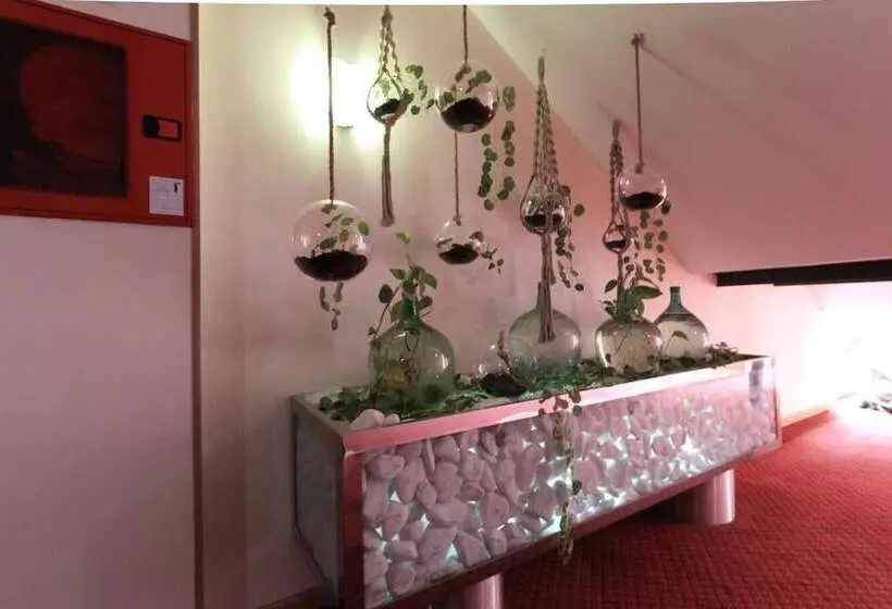 Fotos del hotel Peregrina:  5