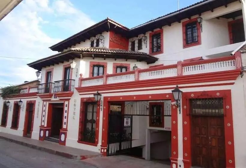 Fotos del hotel Catedral:  7