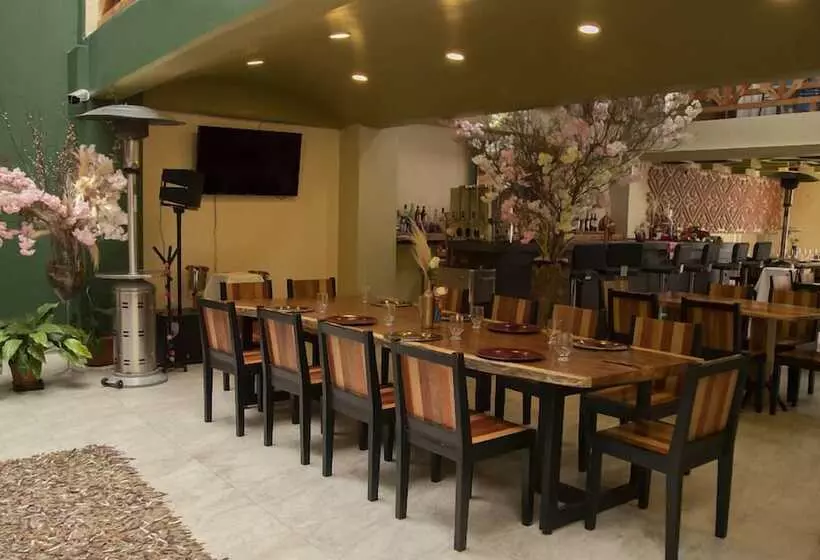 Fotos del hotel Catedral:  10