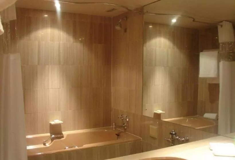 Fotos del hotel Southern Sun Cape Sun:  8