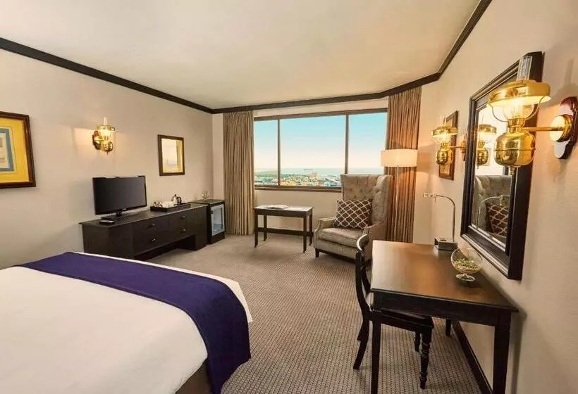 Fotos del hotel Southern Sun Cape Sun:  21