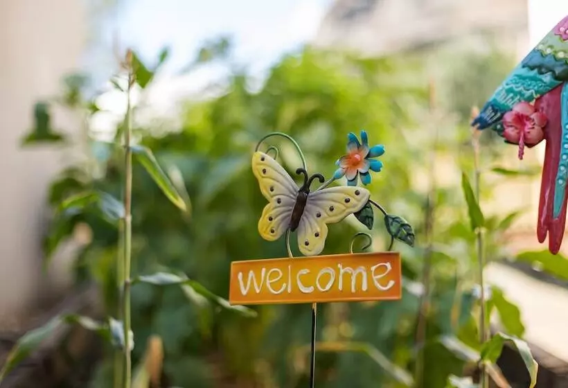 Fotos del hotel Theatro  Odysseon:  22