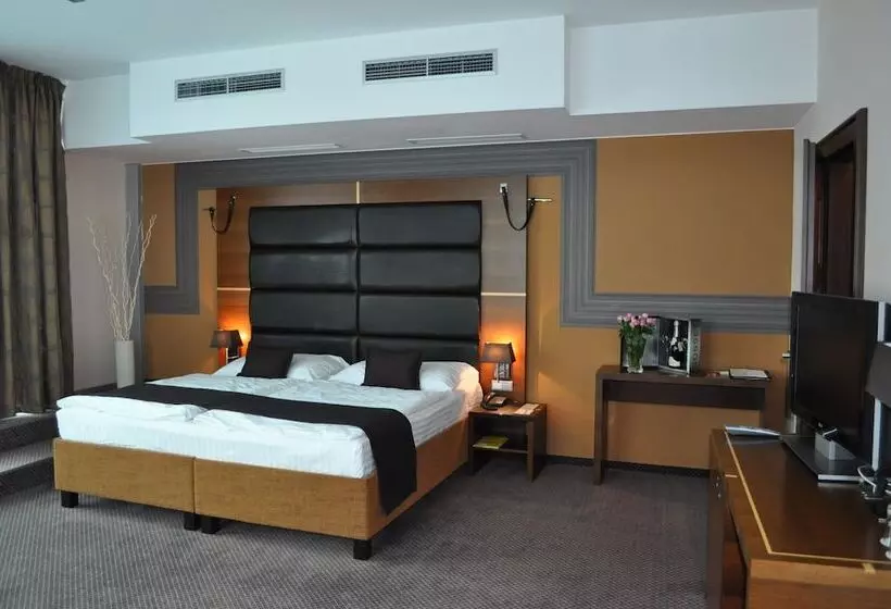 Fotos del hotel Art Hotel William:  24