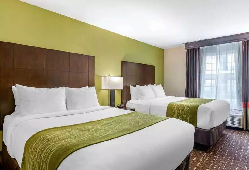 Fotos del hotel Comfort Inn San Diego Old Town:  23