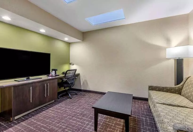 Fotos del hotel Comfort Inn San Diego Old Town:  25