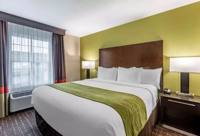 Fotos del hotel Comfort Inn San Diego Old Town:  17