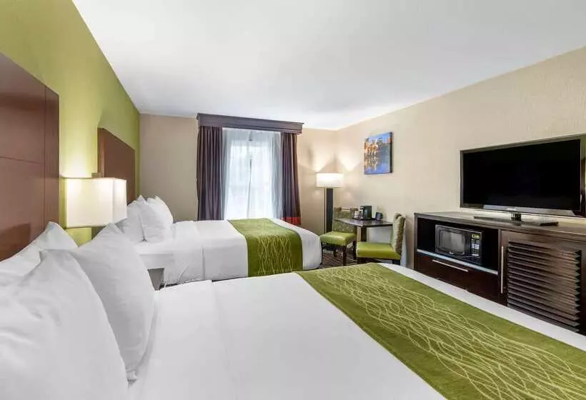 Fotos del hotel Comfort Inn San Diego Old Town:  18