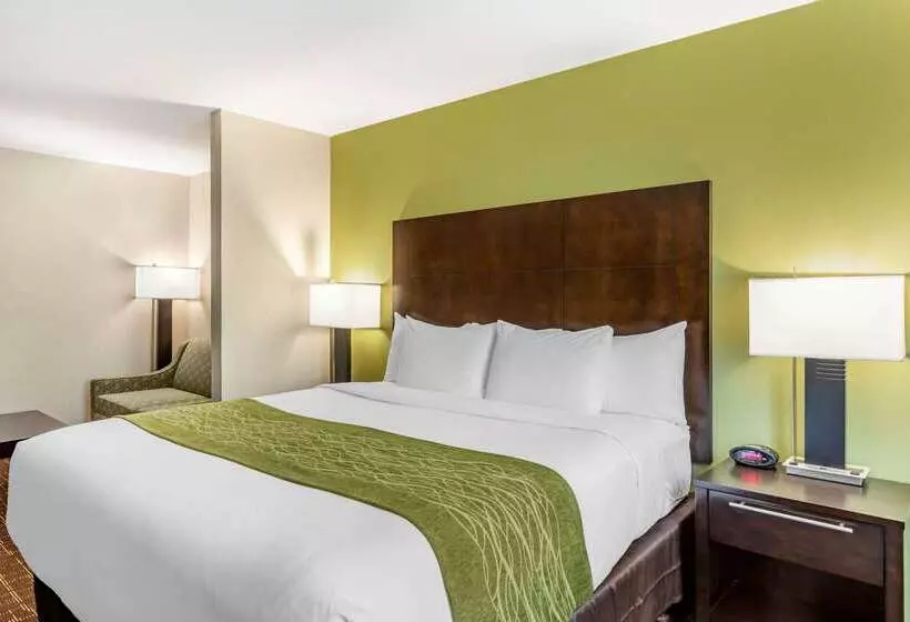 Fotos del hotel Comfort Inn San Diego Old Town:  12