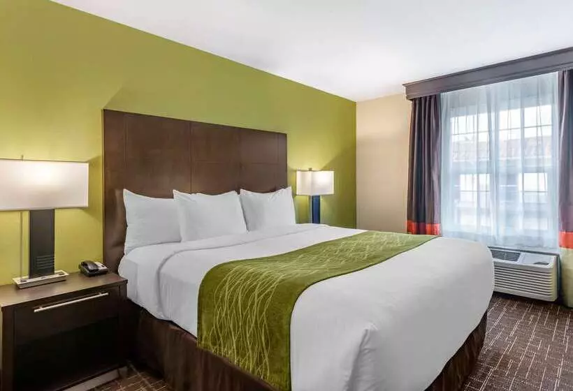 Fotos del hotel Comfort Inn San Diego Old Town:  22