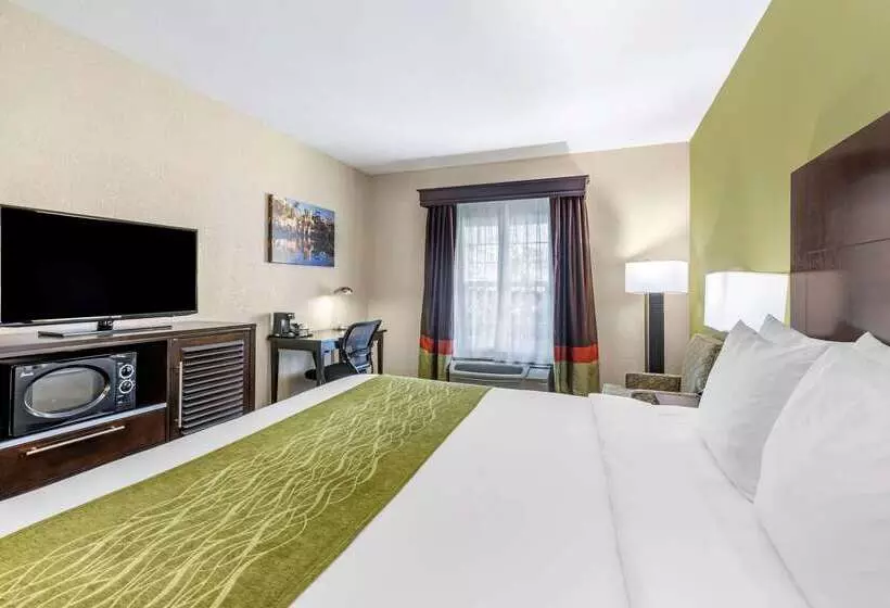 Fotos del hotel Comfort Inn San Diego Old Town:  21