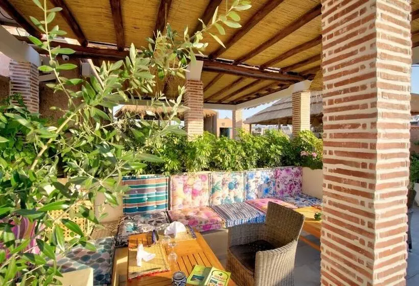 Fotos del hotel Riad Les Oliviers & Spa:  10