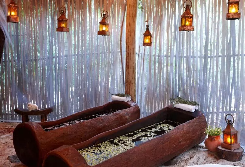 Fotos del hotel Viceroy Riviera Maya  Luxury Resort:  17