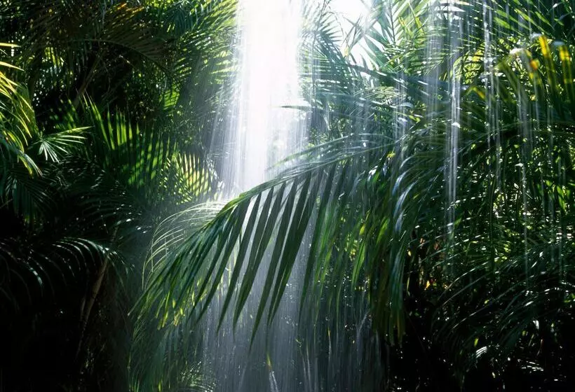 Fotos del hotel Viceroy Riviera Maya  Luxury Resort:  12