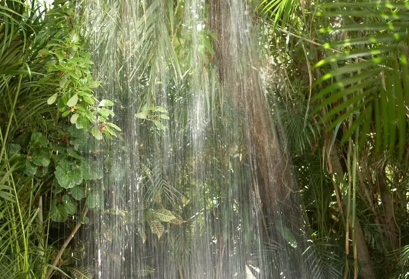 Fotos del hotel Viceroy Riviera Maya  Luxury Resort:  6