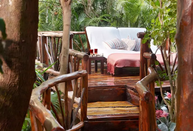 Fotos del hotel Viceroy Riviera Maya  Luxury Resort:  5