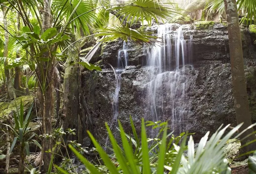 Fotos del hotel Viceroy Riviera Maya  Luxury Resort:  20