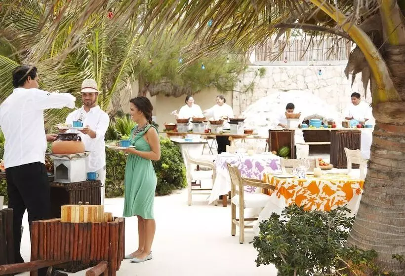 Fotos del hotel Viceroy Riviera Maya  Luxury Resort:  4