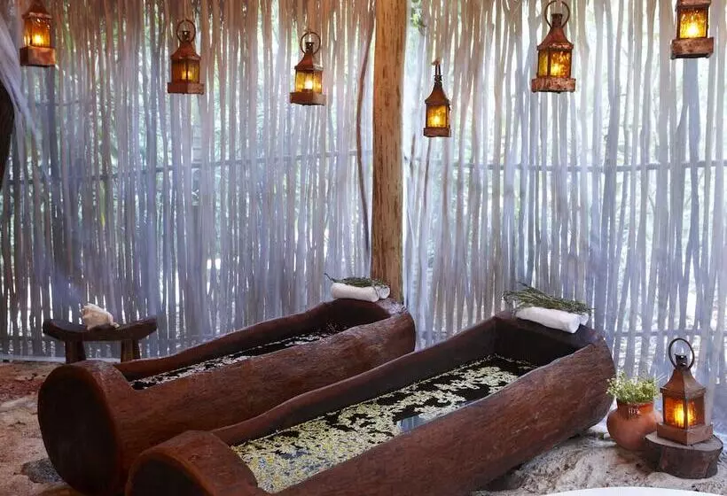 Fotos del hotel Viceroy Riviera Maya  Luxury Resort:  2