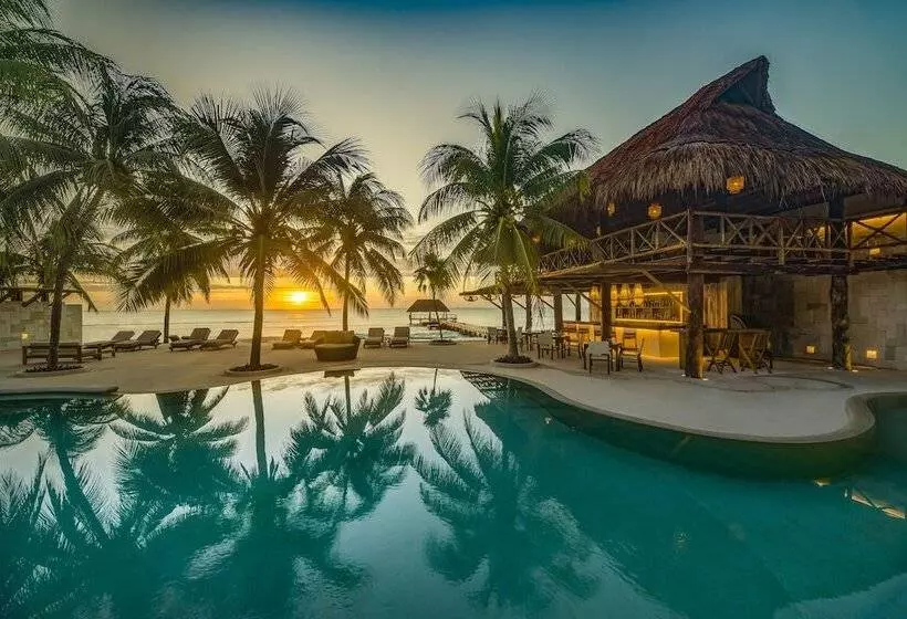 Fotos del hotel Viceroy Riviera Maya  Luxury Resort:  19