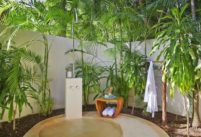 Fotos del hotel Viceroy Riviera Maya  Luxury Resort:  24