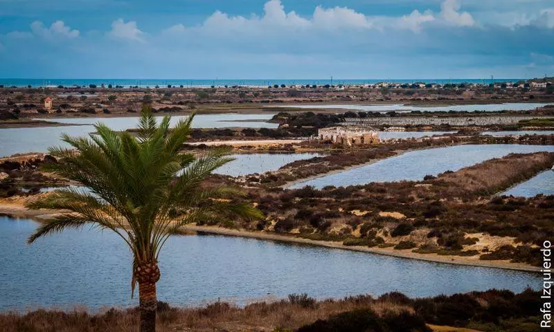 Fotos del hotel Marisma Sancti Petri:  14