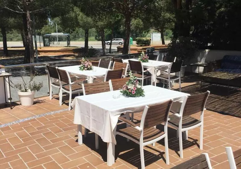 Fotos del hotel Marisma Sancti Petri:  6