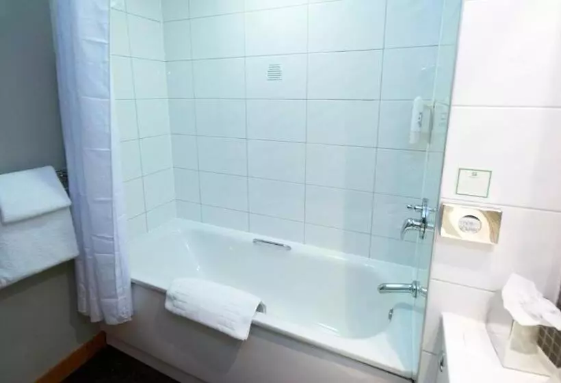 Fotos del hotel Holiday Inn Manchestercentral Park:  6