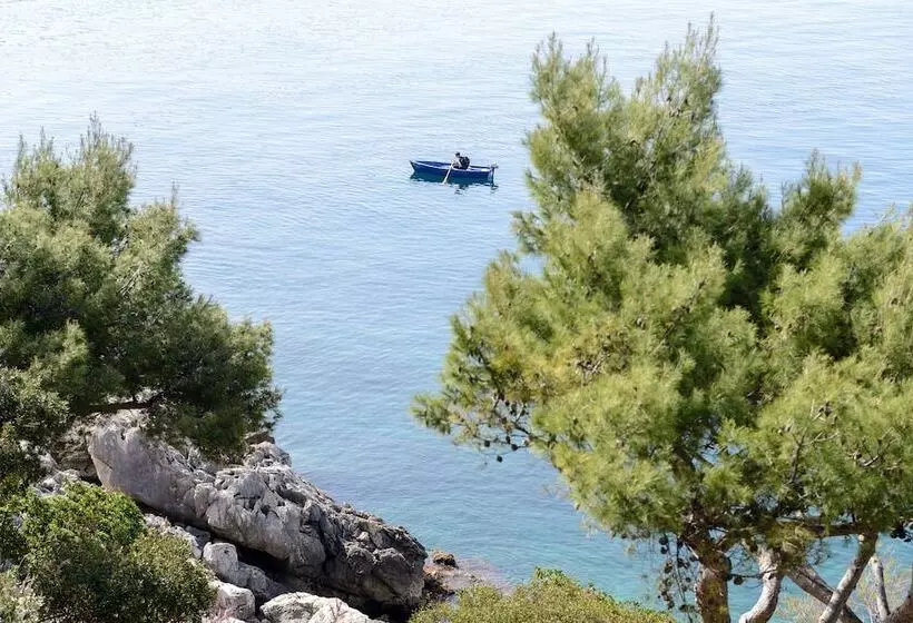 Fotos del hotel Royal Ariston:  21