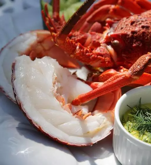 Fotos del hotel Falcons View Manor:  19