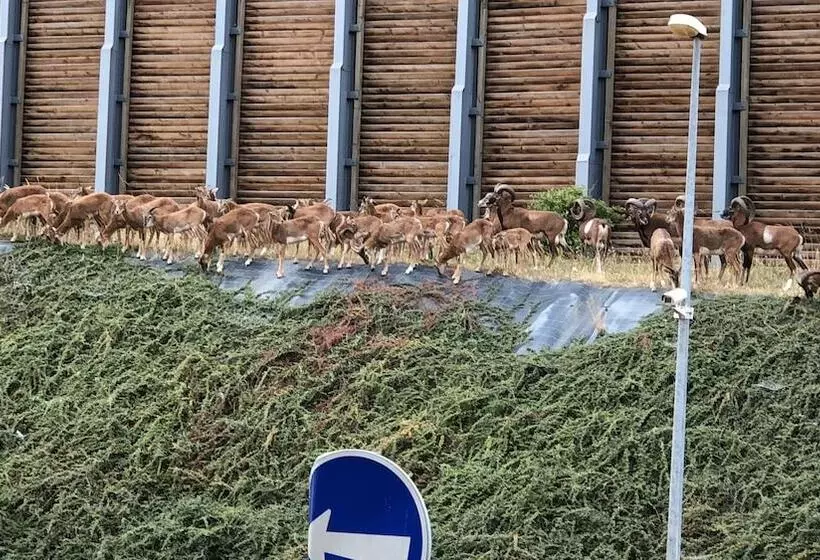 Fotos del hotel Rezidence Emmy:  10