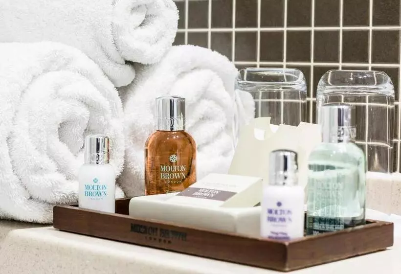 Fotos del hotel Montagu Place:  3