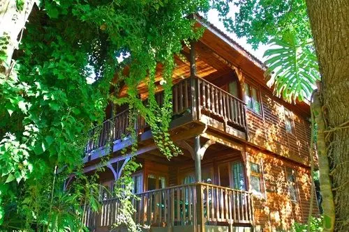 Fotos del hotel Knysna River Club:  8