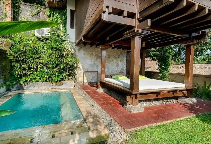 Fotos del hotel Natura Resort And Spa:  6