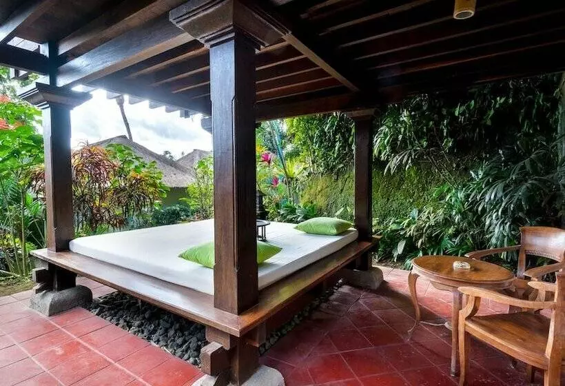 Fotos del hotel Natura Resort And Spa:  3