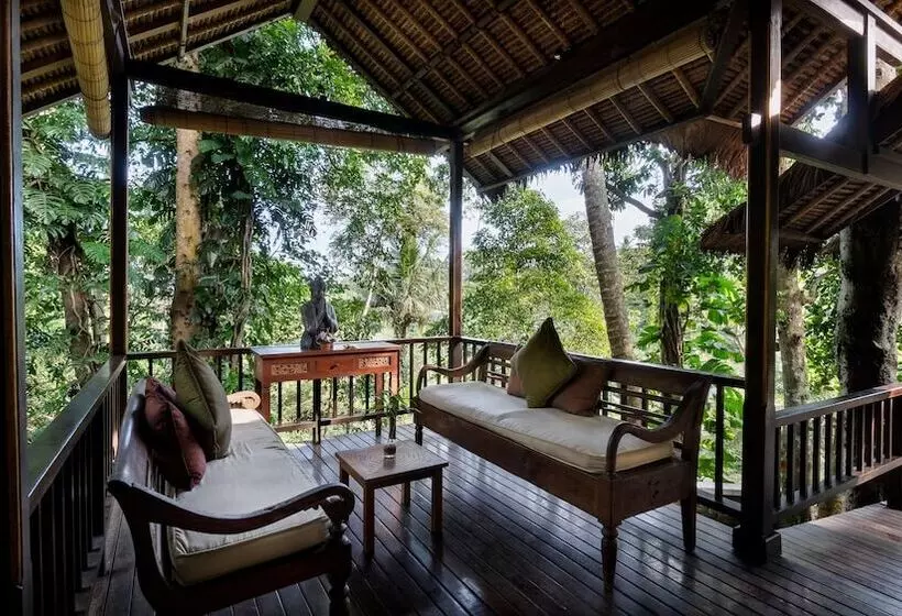 Fotos del hotel Natura Resort And Spa:  25