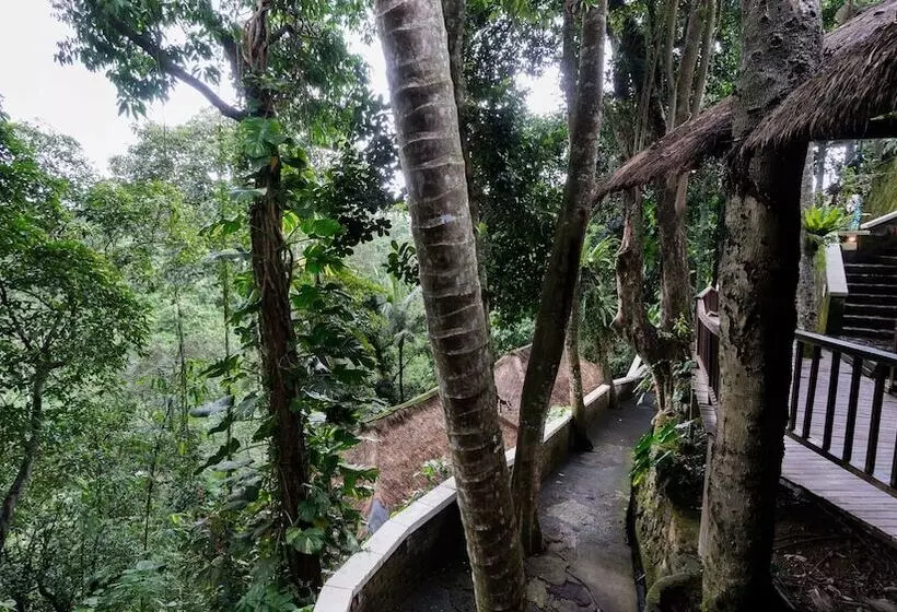 Fotos del hotel Natura Resort And Spa:  19