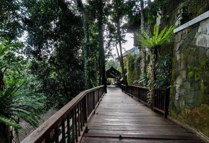 Fotos del hotel Natura Resort And Spa:  23