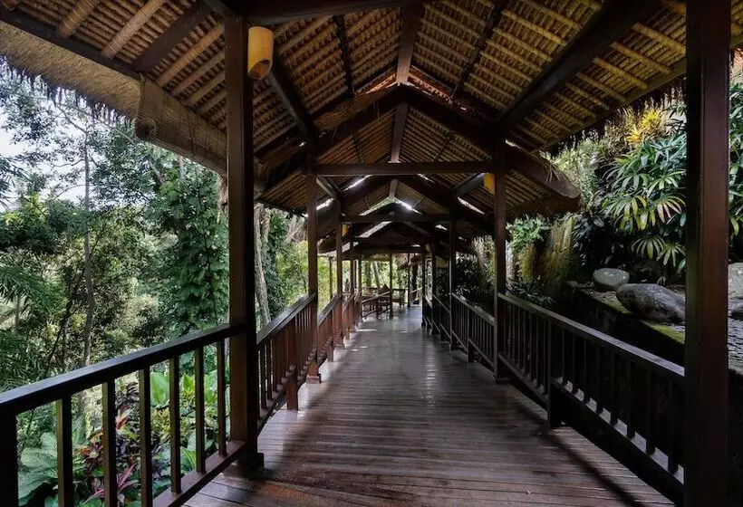 Fotos del hotel Natura Resort And Spa:  16