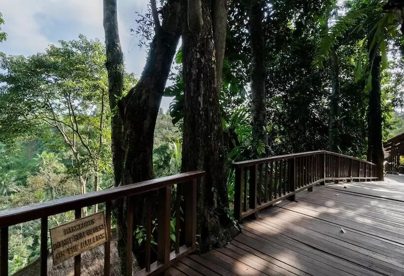 Fotos del hotel Natura Resort And Spa:  20