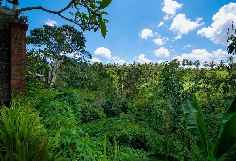 Fotos del hotel Natura Resort And Spa:  11