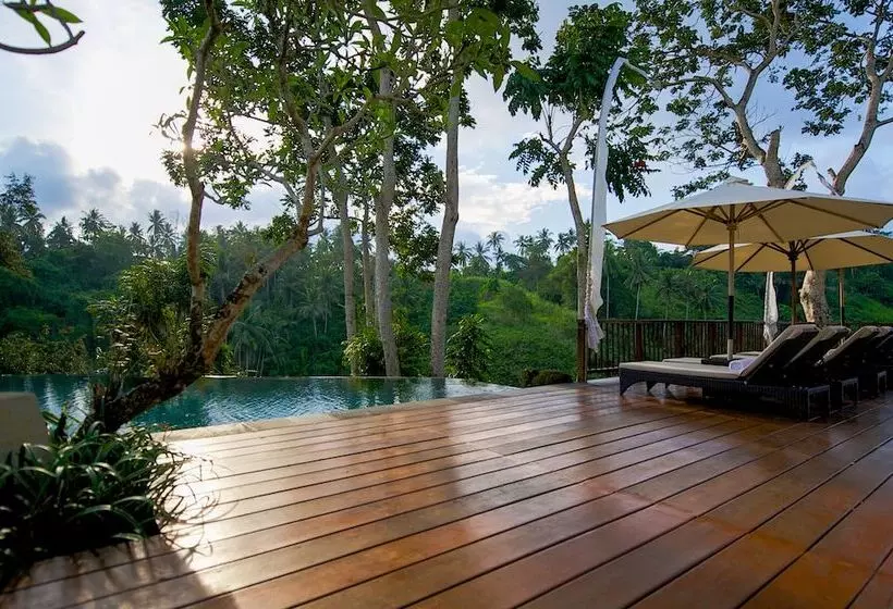 Fotos del hotel Natura Resort And Spa:  2