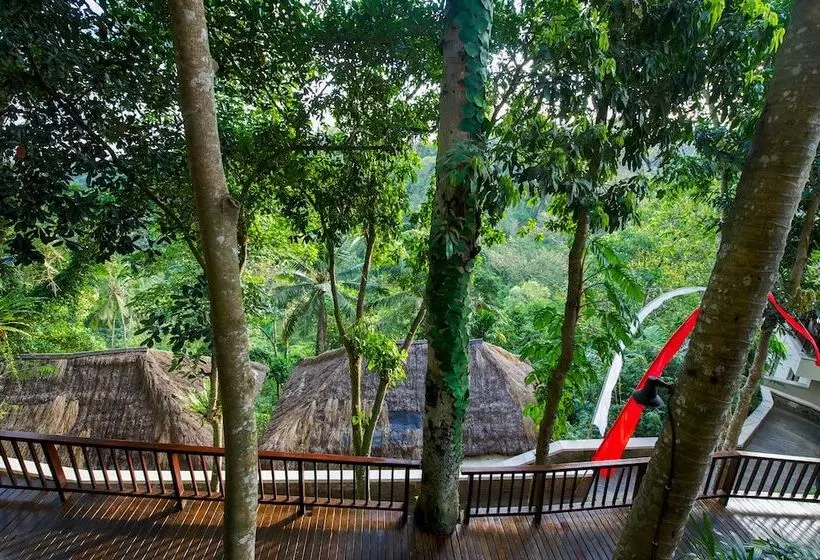 Fotos del hotel Natura Resort And Spa:  14