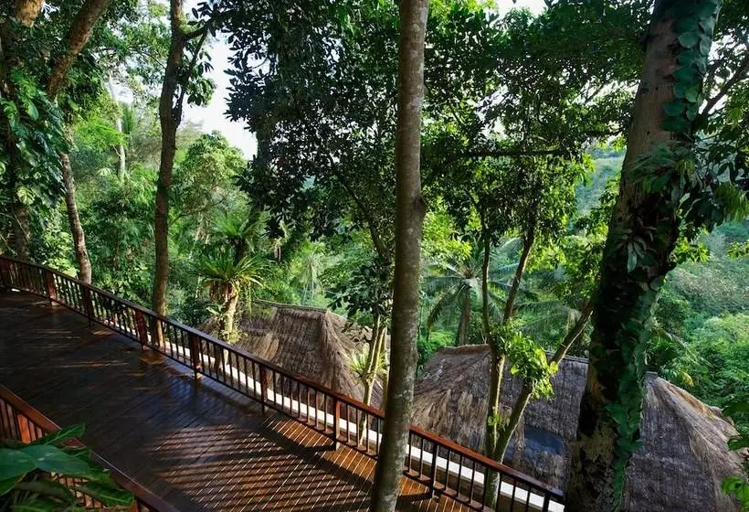 Fotos del hotel Natura Resort And Spa:  13