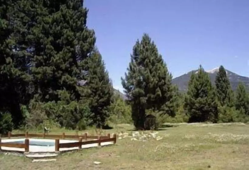 Fotos del hotel Posada Del Angel:  24