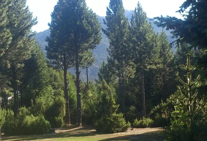 Fotos del hotel Posada Del Angel:  11