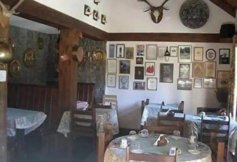 Fotos del hotel Posada Del Angel:  2