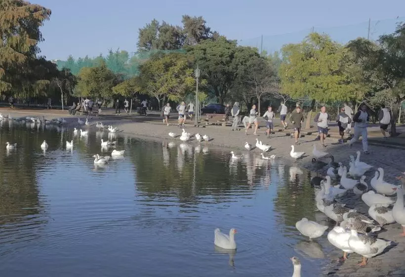 Fotos del hotel Pampa Plaza:  3